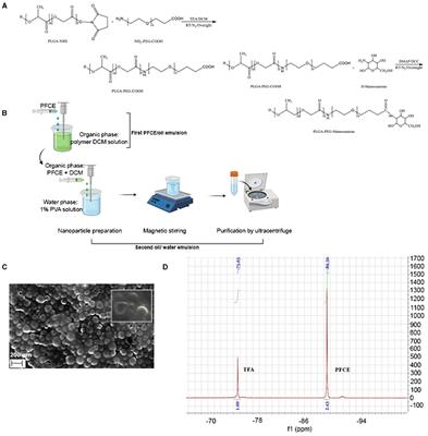 Fluorinated PLGA-PEG-Mannose Nanoparticles for Tumor-Associated Macrophage Detection by Optical Imaging and MRI